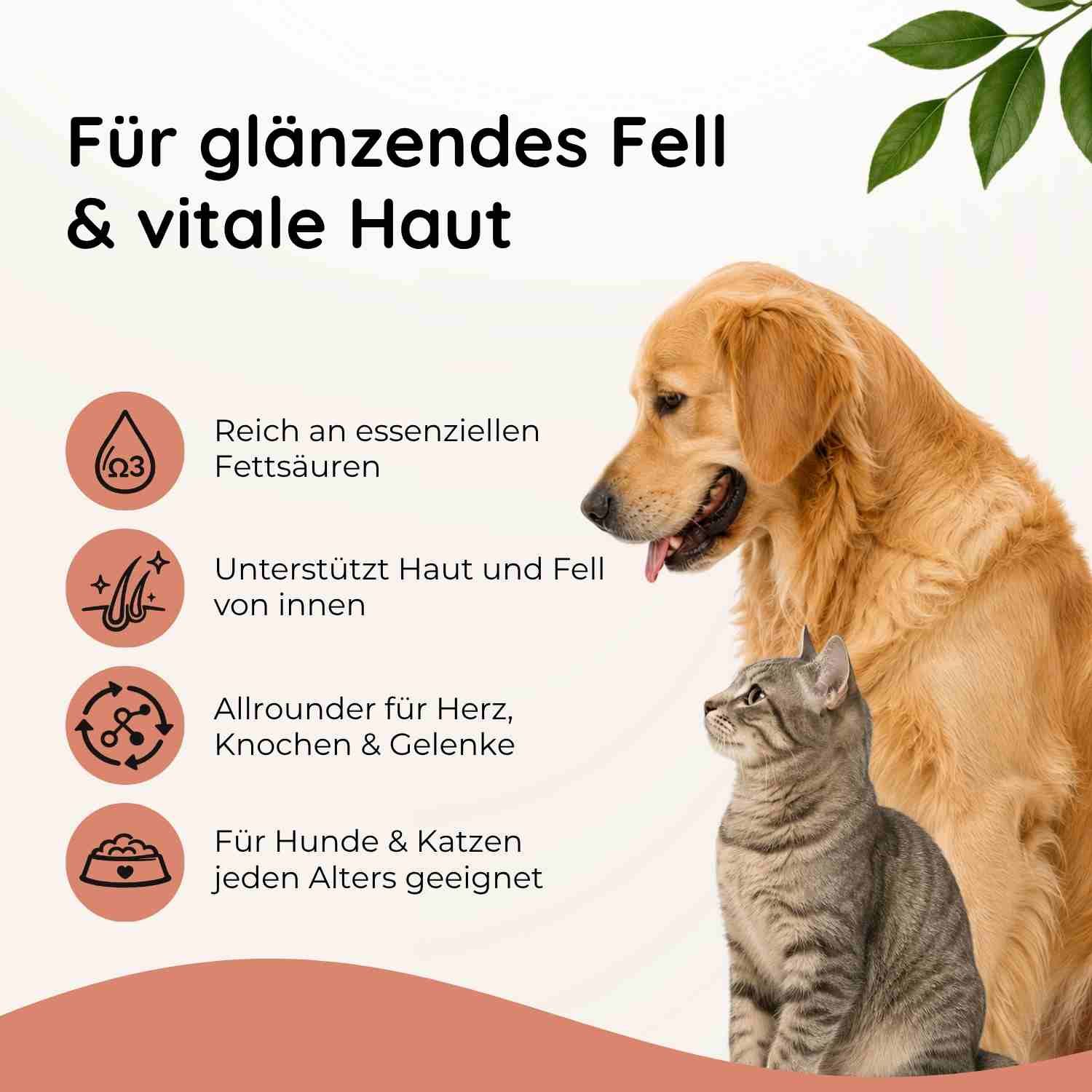 Hund und Katze neben Futterzusatz-Flasche. Links daneben Icons zu Haut, Fell und Gelenken.