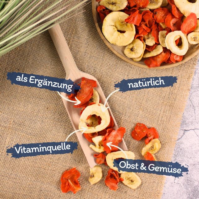 Getrocknete Obst- und Gemüsestücke auf einem Holzlöffel und in einer Schale. Text: 'als Ergänzung', 'natürlich', 'Vitaminquelle', 'Obst & Gemüse'.