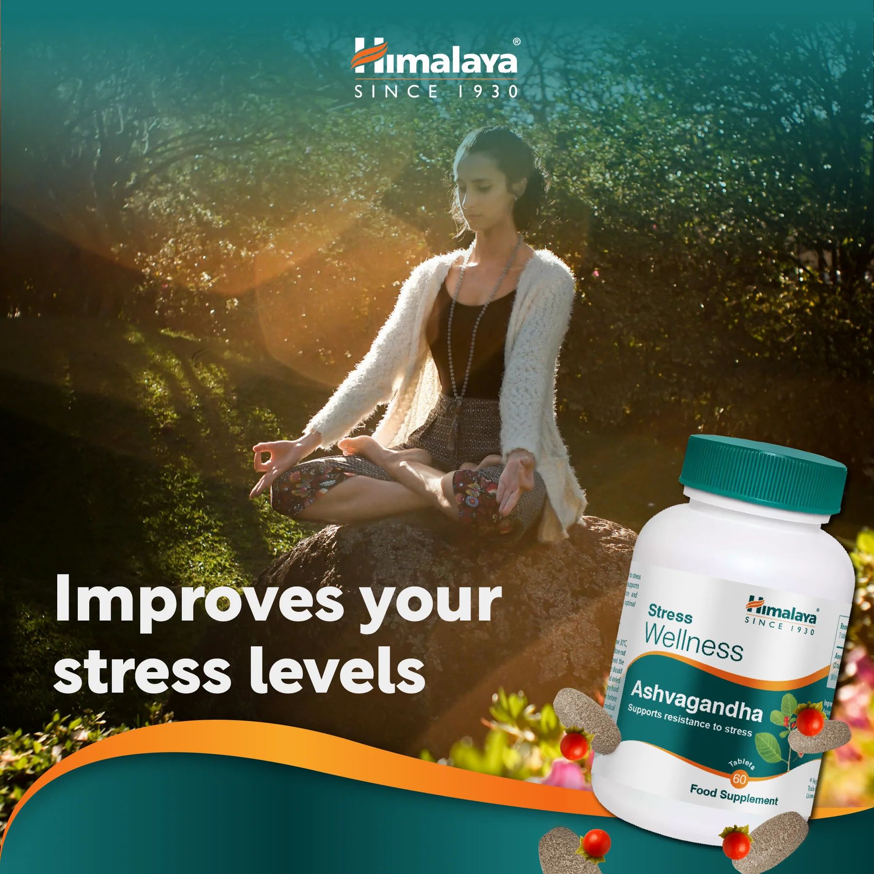 Frau meditiert auf einem Felsen, neben einer Flasche Himalaya Stress Wellness Ashvagandha. Text: Verbessert Ihr Stresslevel.