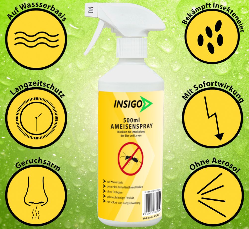 Insigo Ameisenspray 3 l Spray