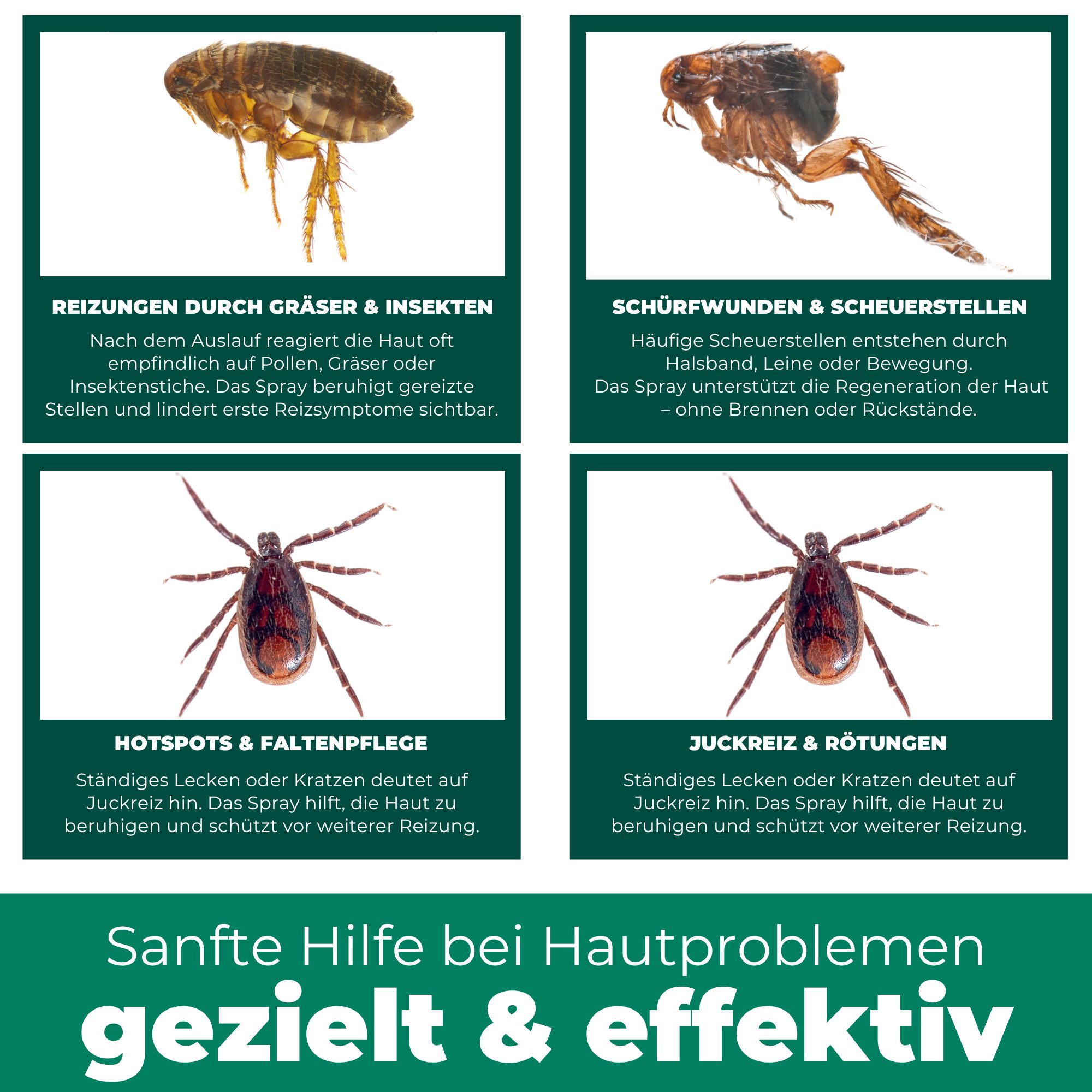SILBERKRAFT Kolloidales Silberspray für Haustiere