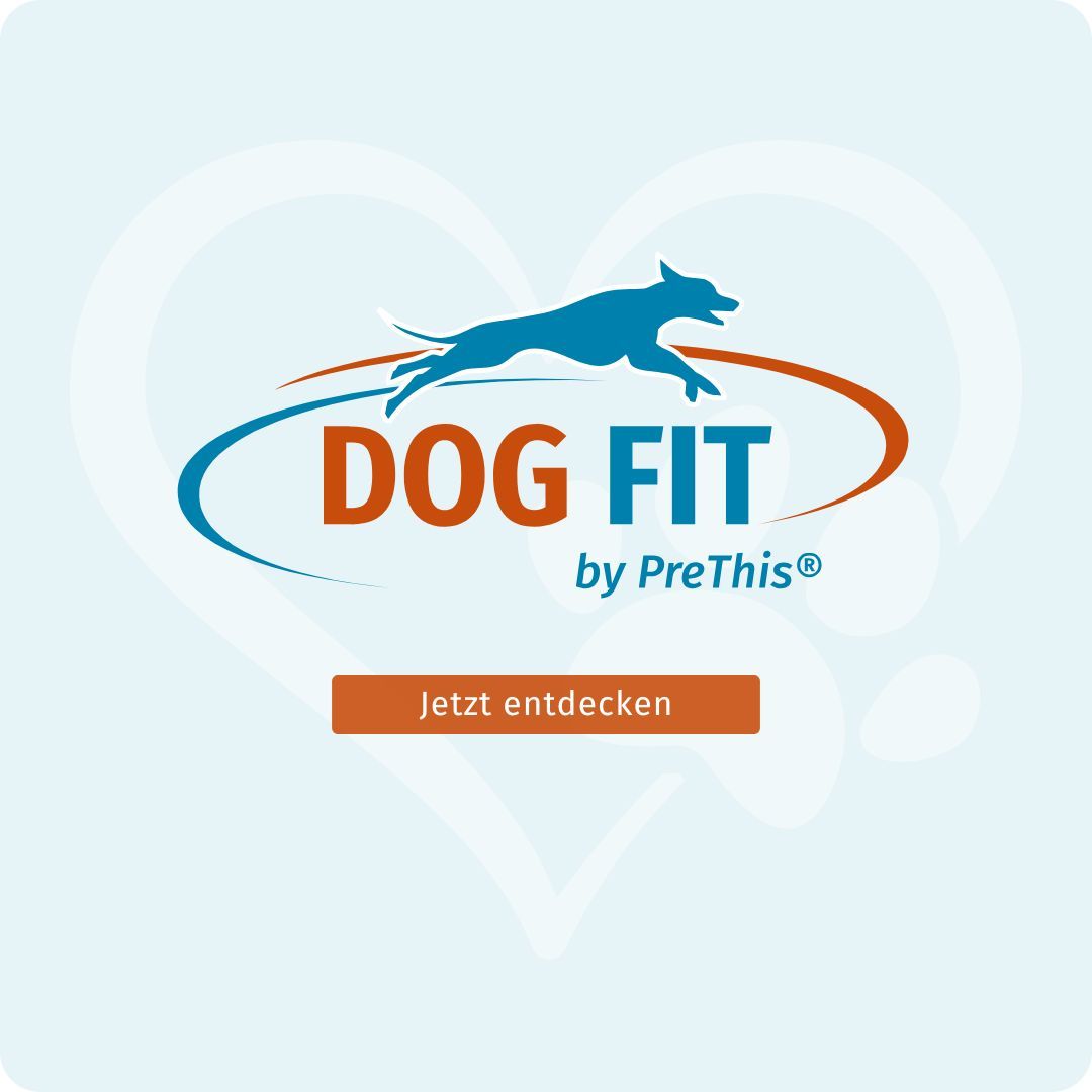 DOG FIT by PreThis® JOINTS greenshell » Grünlippmuschel + Kollagen für Hunde » medium