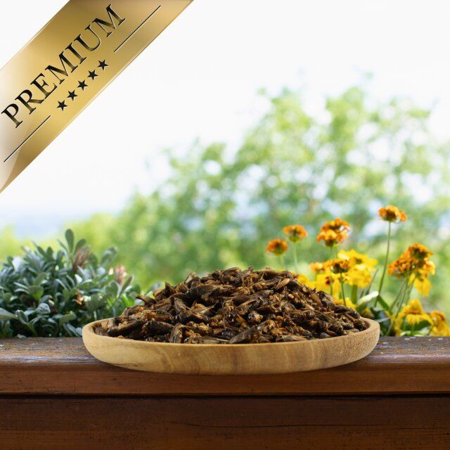 Getrocknete Heimchen in einer Holzschale. Premium-Banner. Hintergrund: verschwommene Natur mit Blumen.