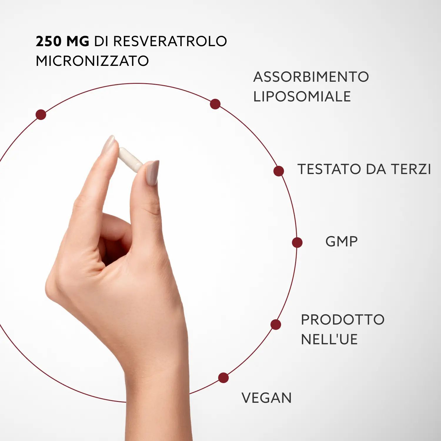 Purovitalis Liposomales Resveratrol