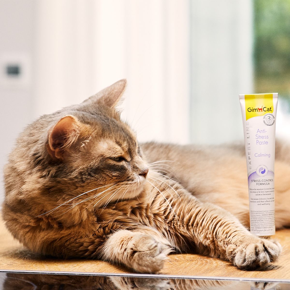 GimCat® Anti-Stress Paste