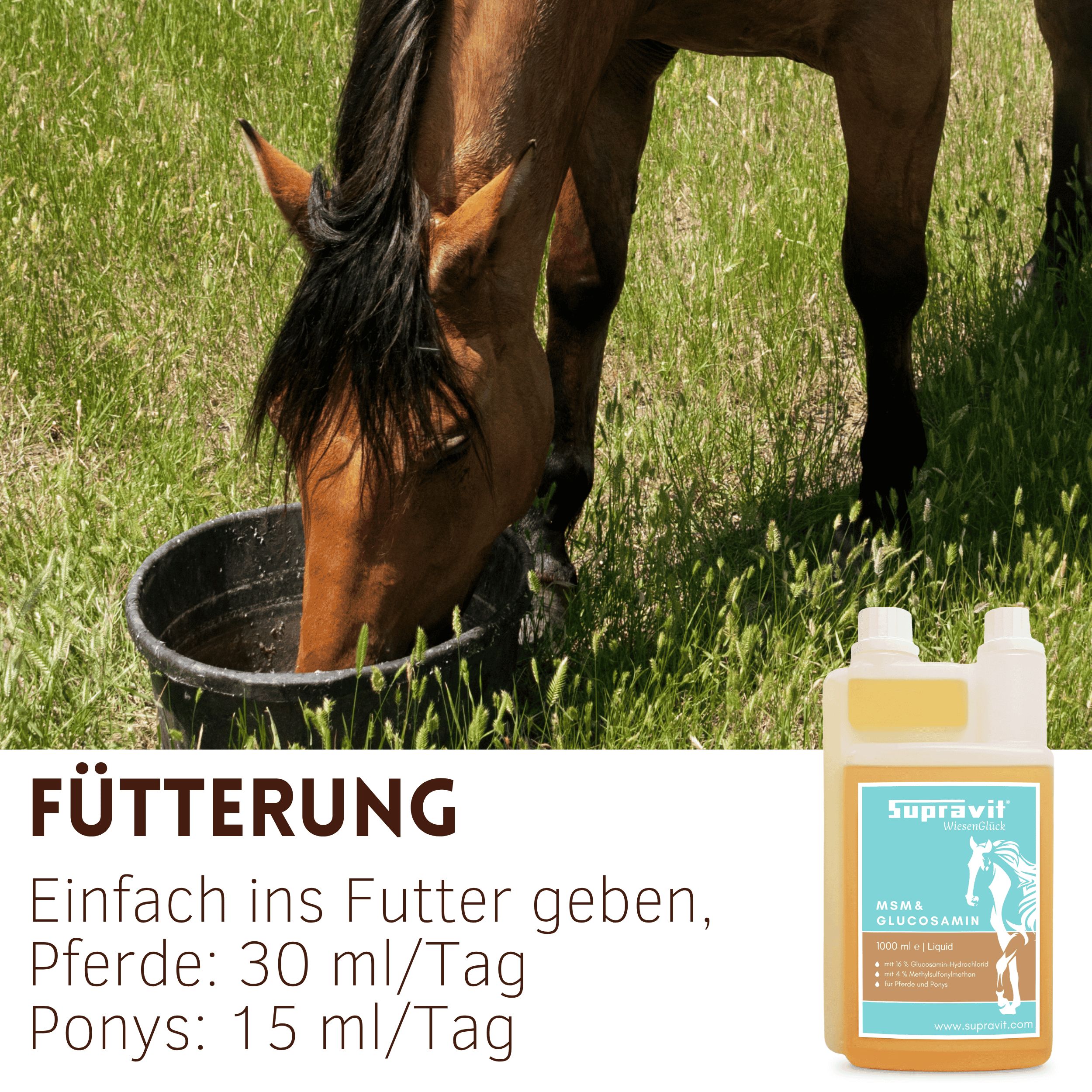 Flüssiges Ergänzungsfuttermittel. Aufschrift: Supravit. Fütterung. Pferd trinkt aus einem Eimer.