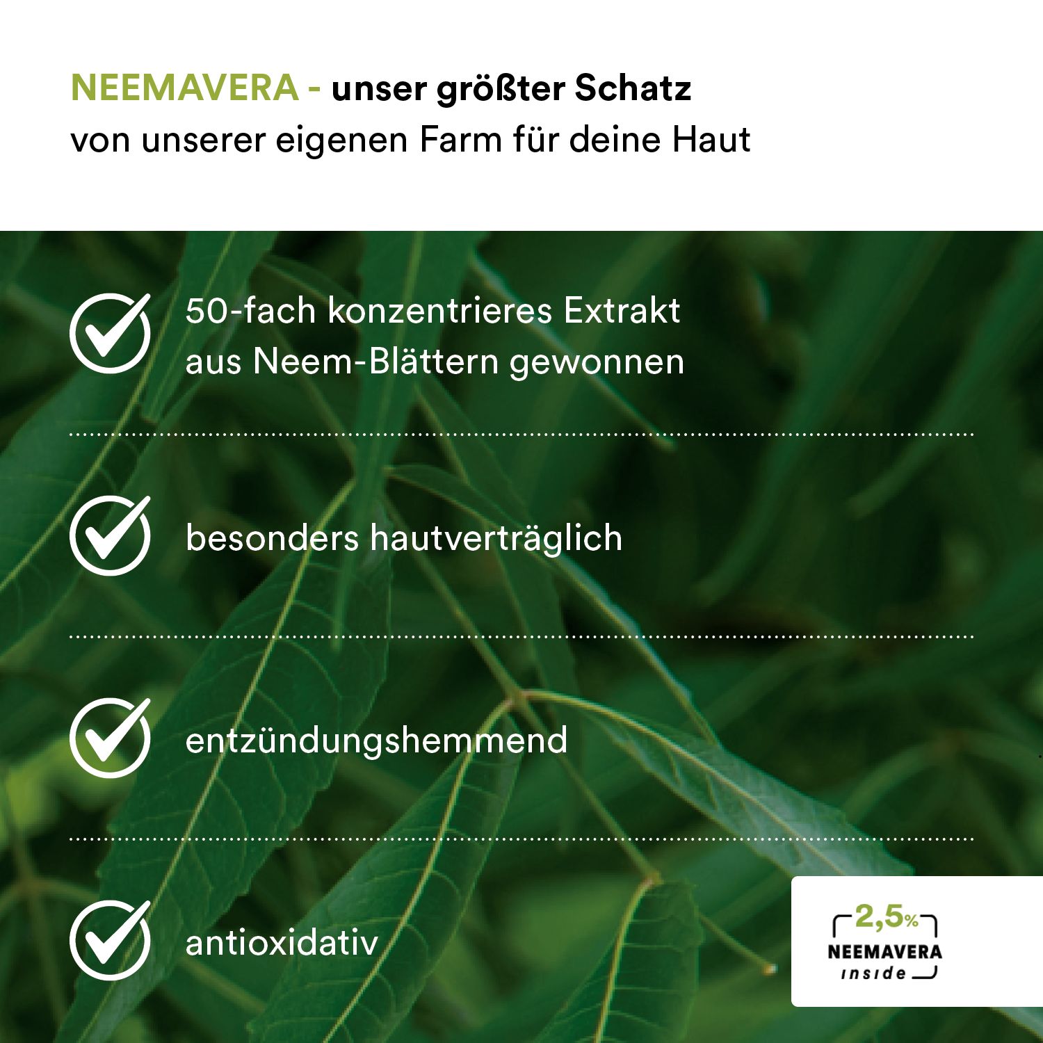Text: Neem, unser größter Schatz, 50-fach konzentriert, hautverträglich, entzündungshemmend, antioxidativ.
