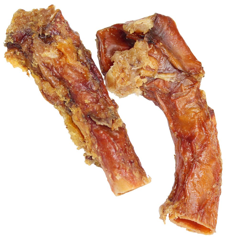 Zwei getrocknete Pferde-Aorta-Stücke. Hellbraune, röhrenförmige Form mit unregelmäßiger Oberfläche. Auf weißem Hintergrund.