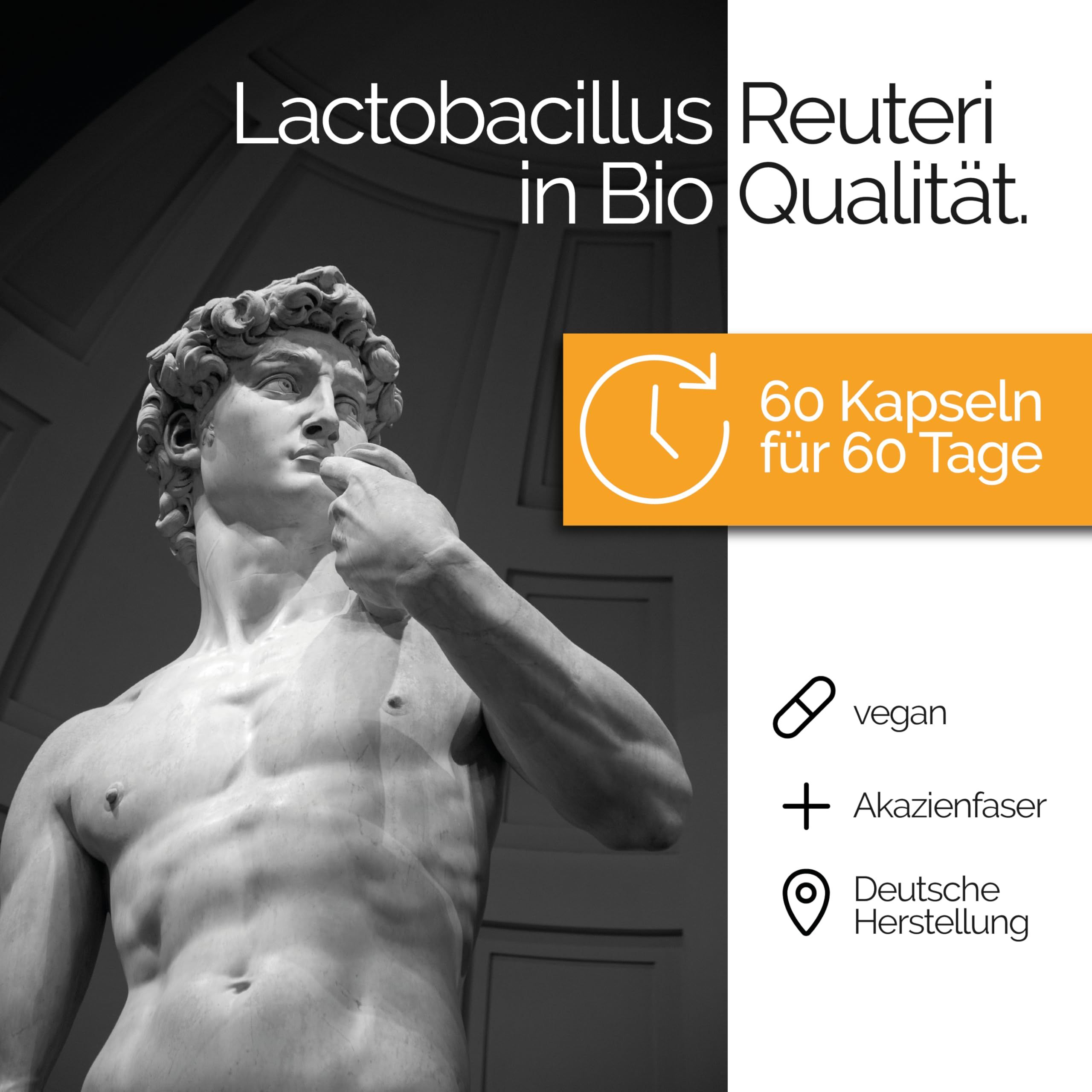 TAVI® Lactobacillus Reuteri Bio Kapseln (L. reuteri DSM 32759, lebende Bakterien)