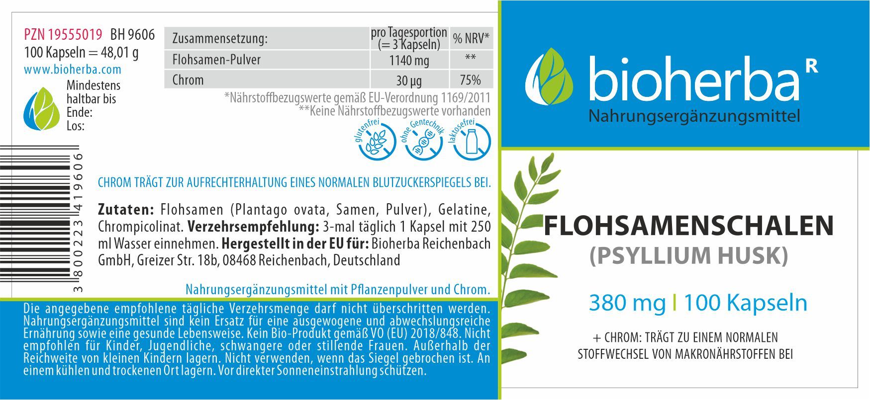Flohsamenschalen (Psyllium Husk) 380 mg 100 Kapseln PZN 19555019
