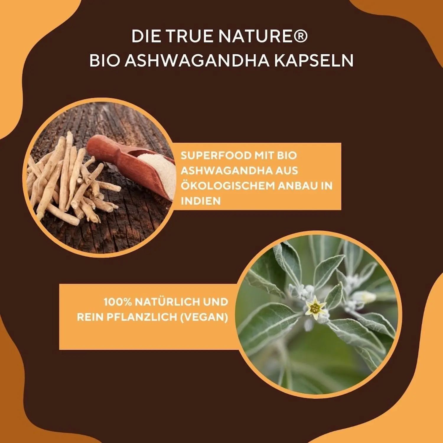 TRUE NATURE® Ayurveda Duo