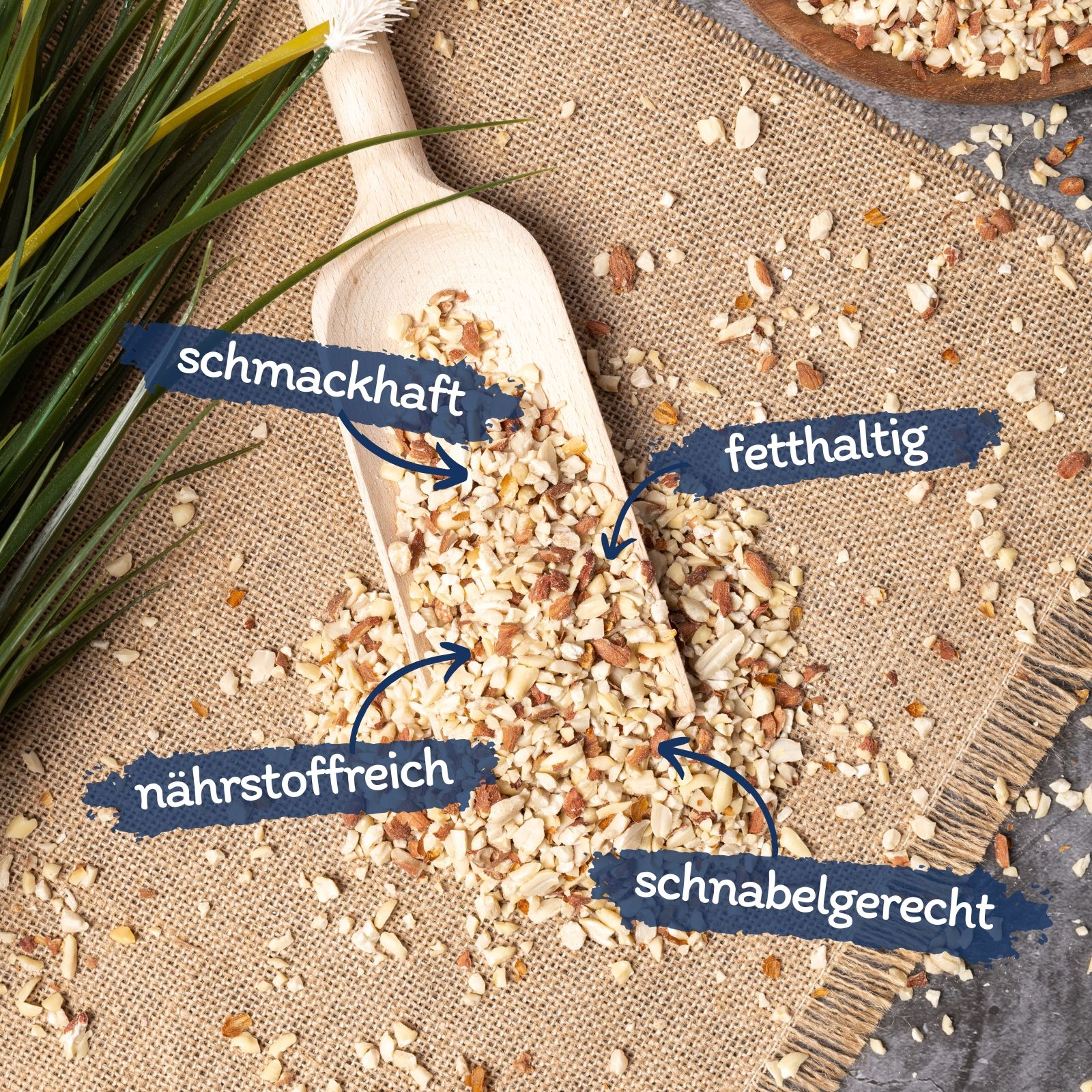 Gehackte Mandeln auf einem Holzschaufel, auf einem Jutesack. Beschriftungen: "schmackhaft", "nährstoffreich", "fetthaltig", "schnabelgerecht".