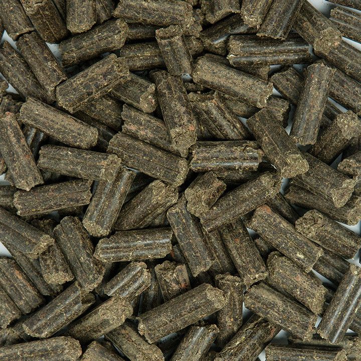 Haufen zylindrischer, brauner Pellets. Nahaufnahme, helle Oberfläche.
