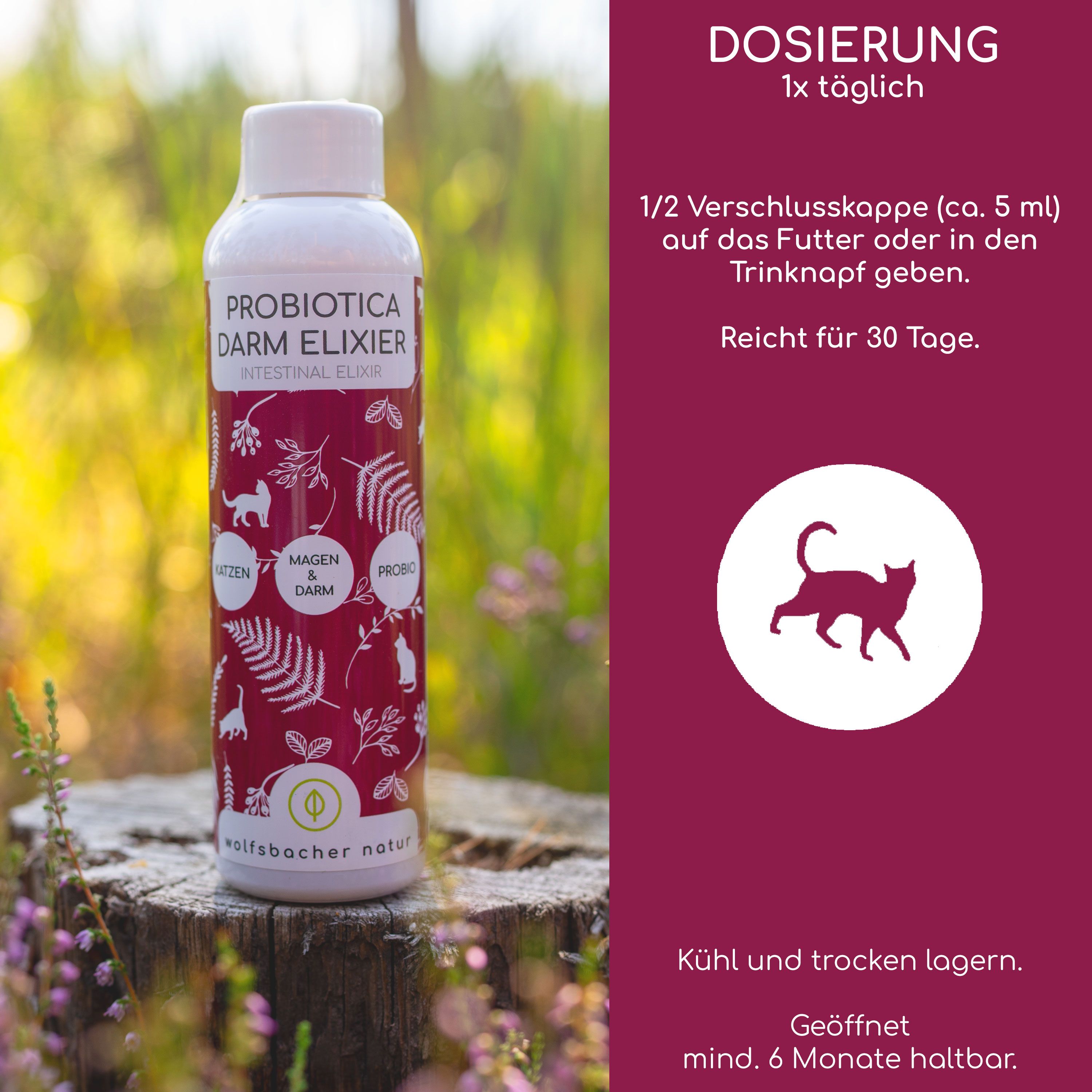 Flasche mit Etikett auf Holzstumpf. Text: Probiotica Darm Elixier. Dosierung: 1x täglich. Logo: Katze. Marke: Wolfsbacher Natur. Haltbarkeit: 6 Monate.