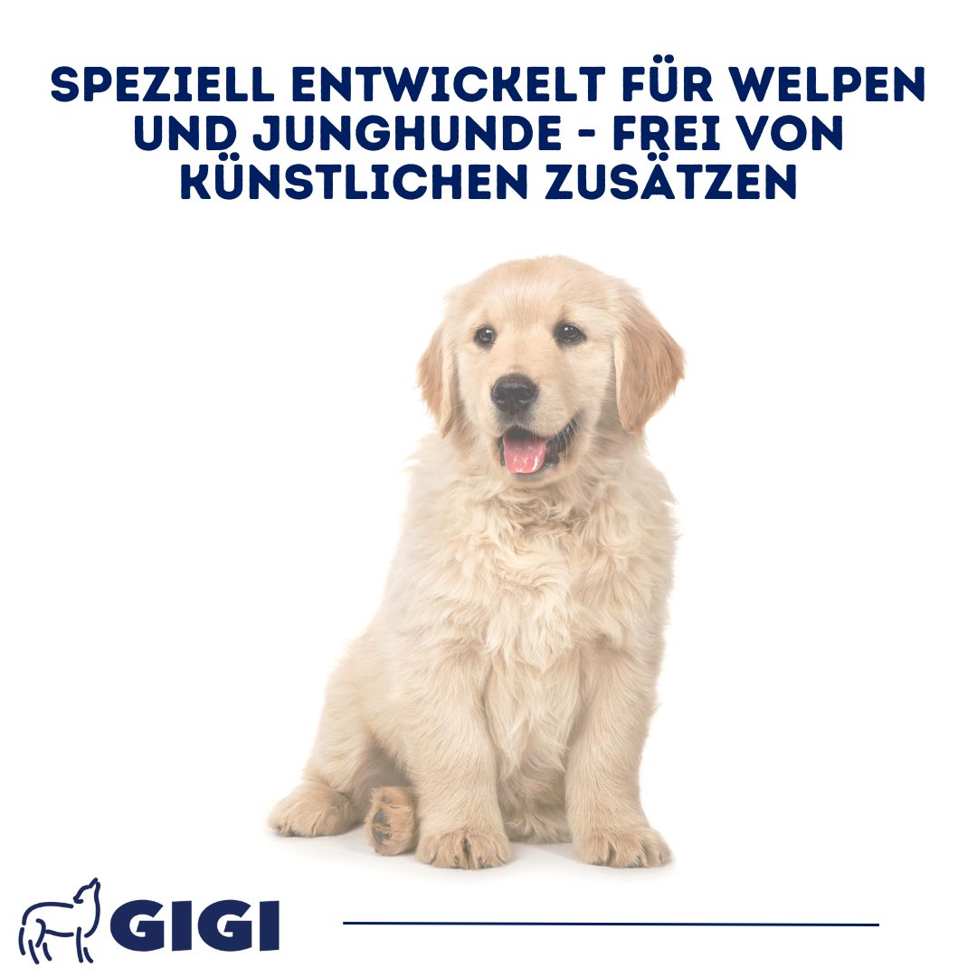 Goldener Retriever-Welpe. Text: Speziell entwickelt für Welpen und Junghunde - frei von künstlichen Zusätzen. GIGI Logo.