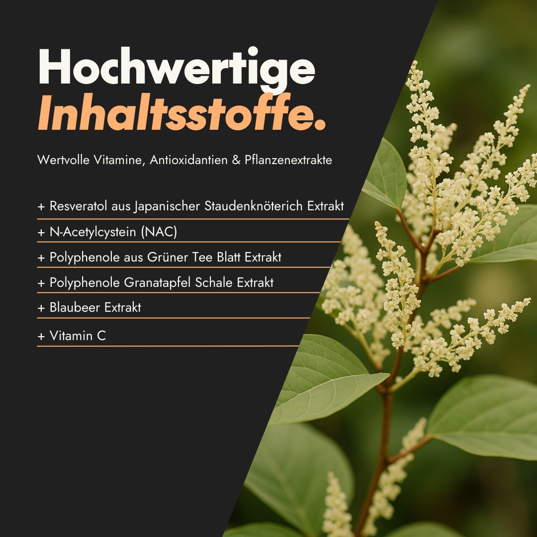 Pflanze mit Blüten. Text: Hochwertige Inhaltsstoffe. Vitamine, Antioxidantien & Pflanzenextrakte. Resveratrol, NAC, Polyphenole, Blaubeere, Vitamin C.
