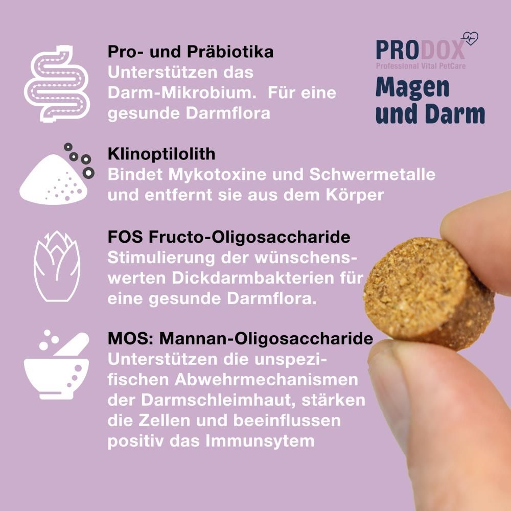 Vital Bite neben Text. Text beschreibt Inhaltsstoffe: Pro- und Präbiotika, Klinoptilolith, FOS, MOS.
