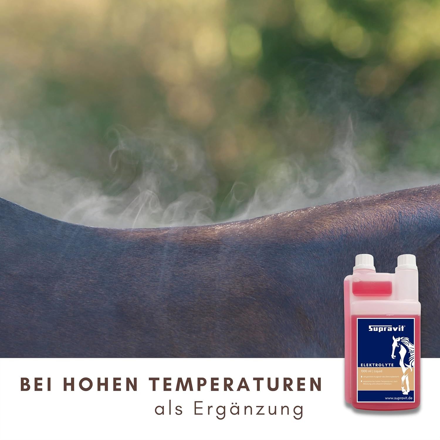 Pferderücken mit Dampf. Rechts: Flasche Supravit Elektrolyte. Text: Bei hohen Temperaturen als Ergänzung.