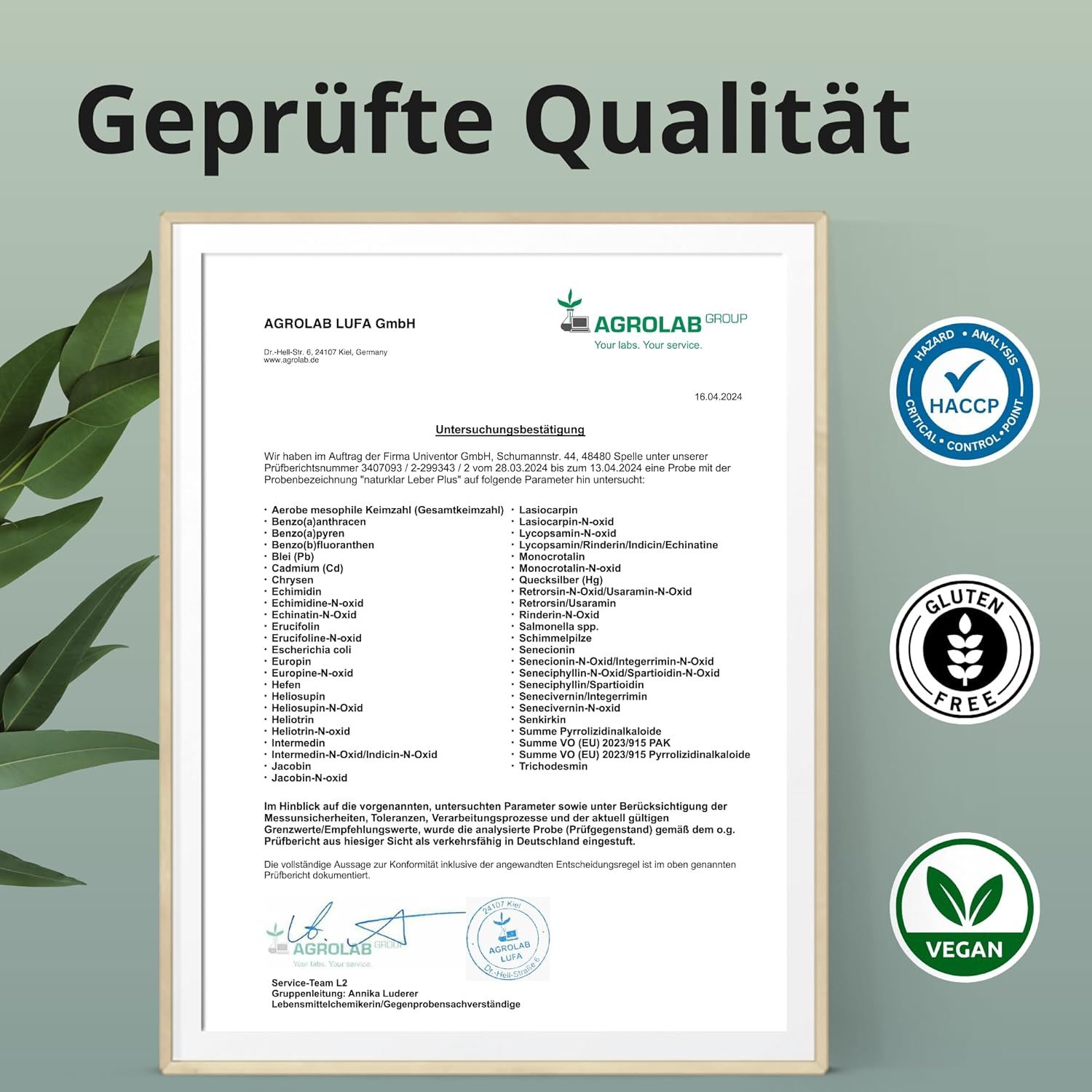 Zertifizierungsdokument. Text: "Geprüfte Qualität". Logos: HACCP, Glutenfrei, Vegan. Hintergrund: Blätter.