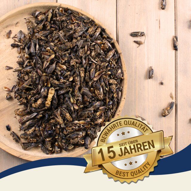 Getrocknete Heimchen in einer Holzschale. Banner: Bewährte Qualität seit über 15 Jahren. Best Quality.