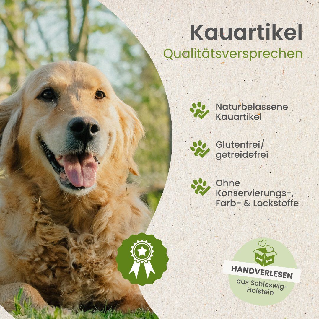 Golden Retriever liegt im Gras neben Text über Kauartikel und Qualitätsversprechen.
