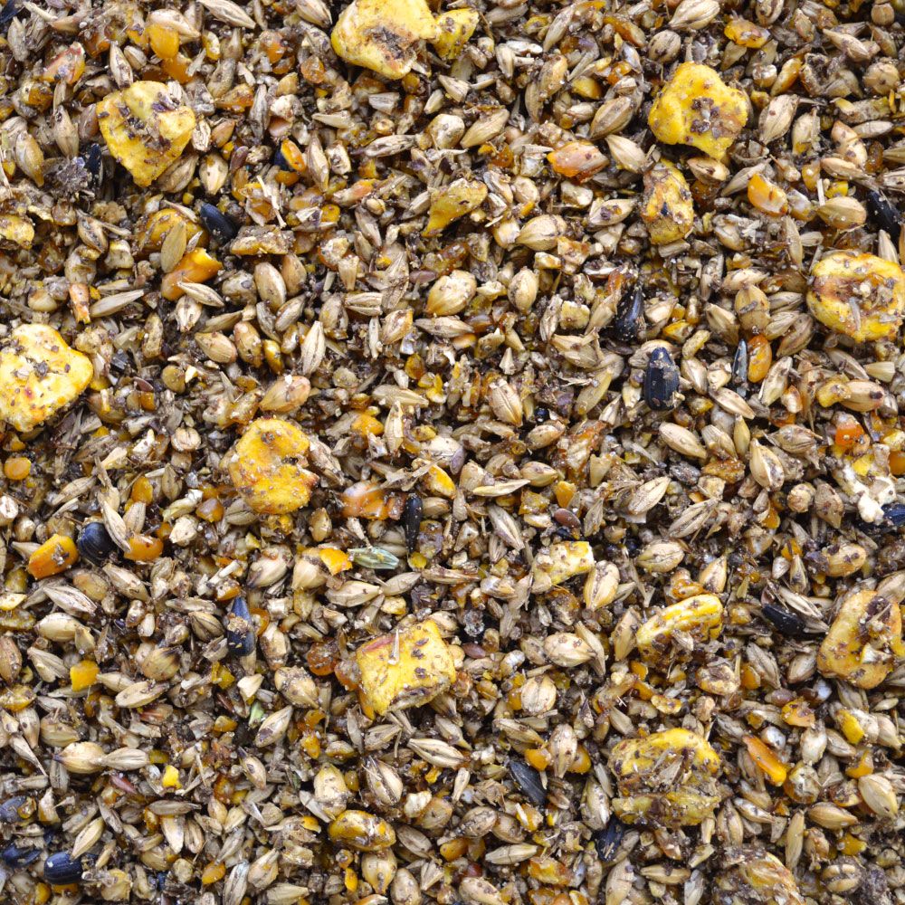 Nahaufnahme von SPEED Clinic Intestine prebiotic Müsli. Mischung aus Getreide, Samen und gelben Stücken.