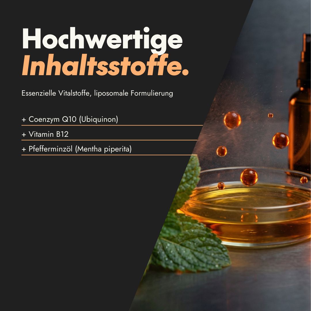 Glas mit Flüssigkeit, Minzblatt, Text: Hochwertige Inhaltsstoffe. Coenzym Q10, Vitamin B12, Pfefferminzöl.