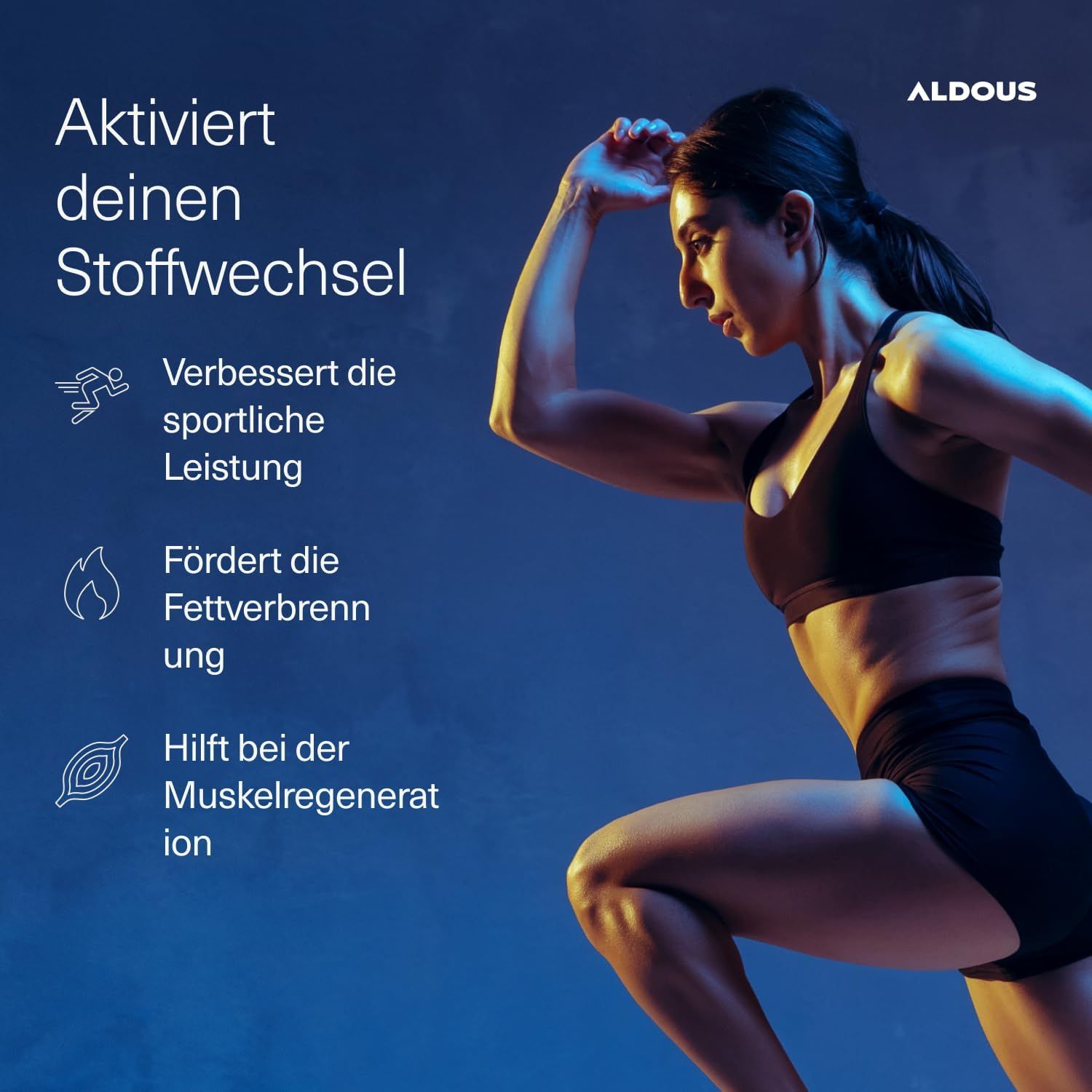 Aldous ﻿﻿L Carnitin Tabletten