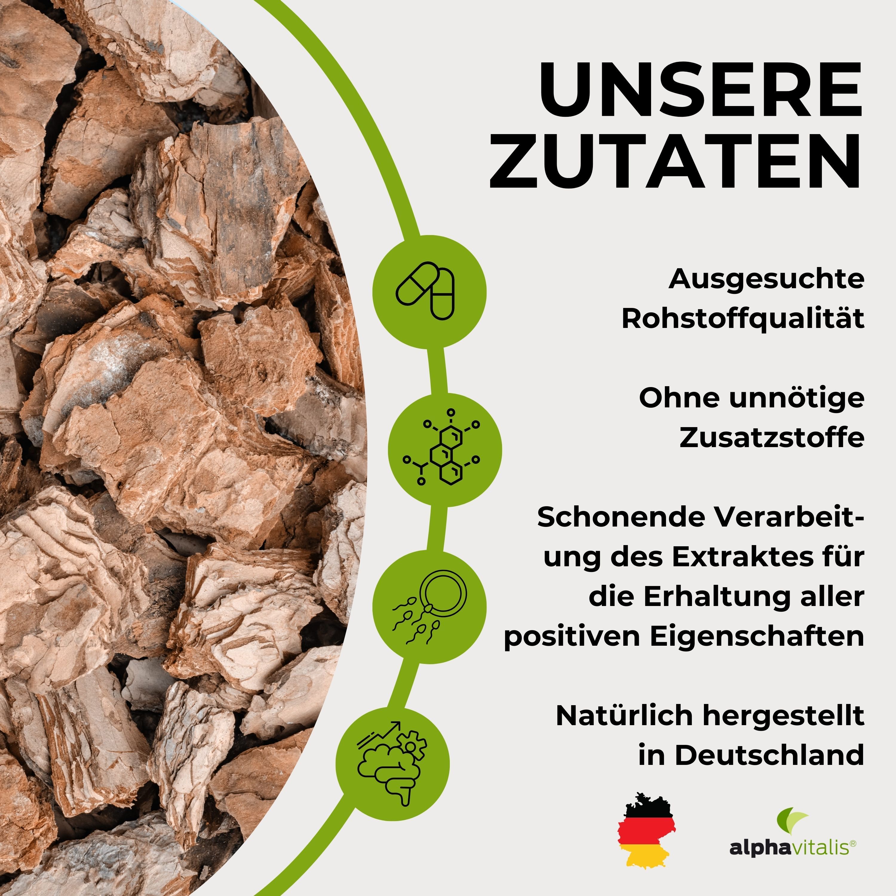 Alphavitalis® Pinienrindenxtrakt OPC mit Vitamin C Kapseln
