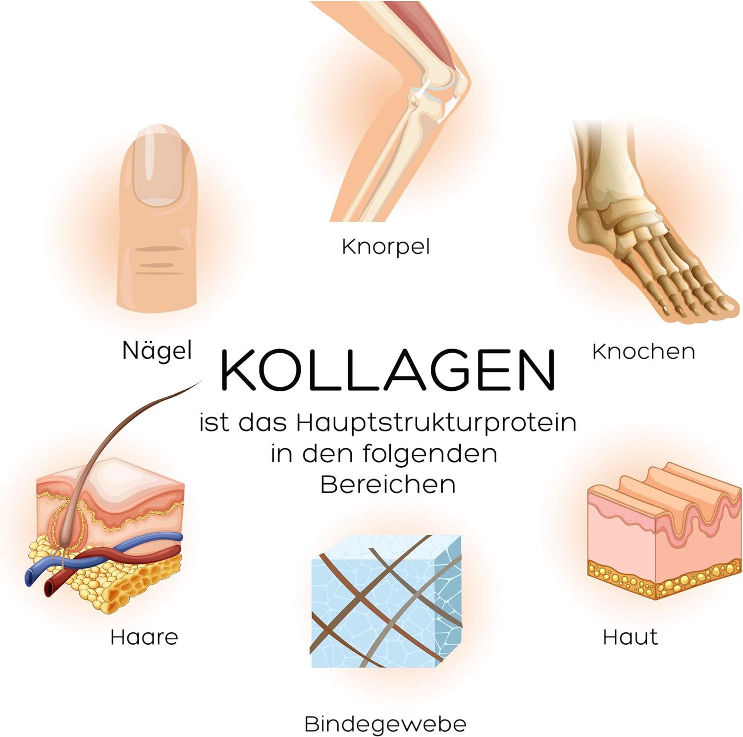 Luondu Beauty Verisol Kollagen, Hyaluronsäure, Gelee Royal, Biotin, Kupfer Trinkampullen