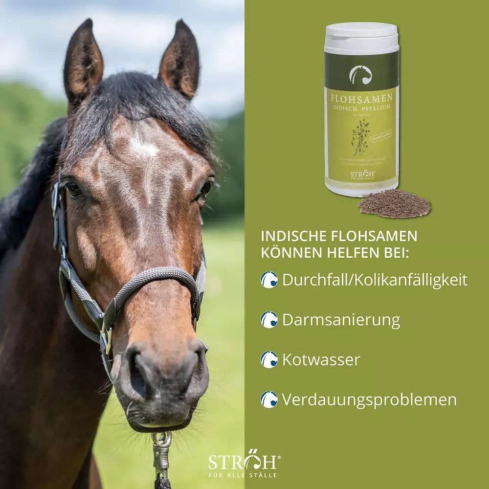 Pferd mit Halfter und Gefäß mit grünem Etikett. Aufschrift: Flohsamen, indisch, Psyllium. Text: Indische Flohsamen können helfen bei: Durchfall, etc. Marke: STRÖH.