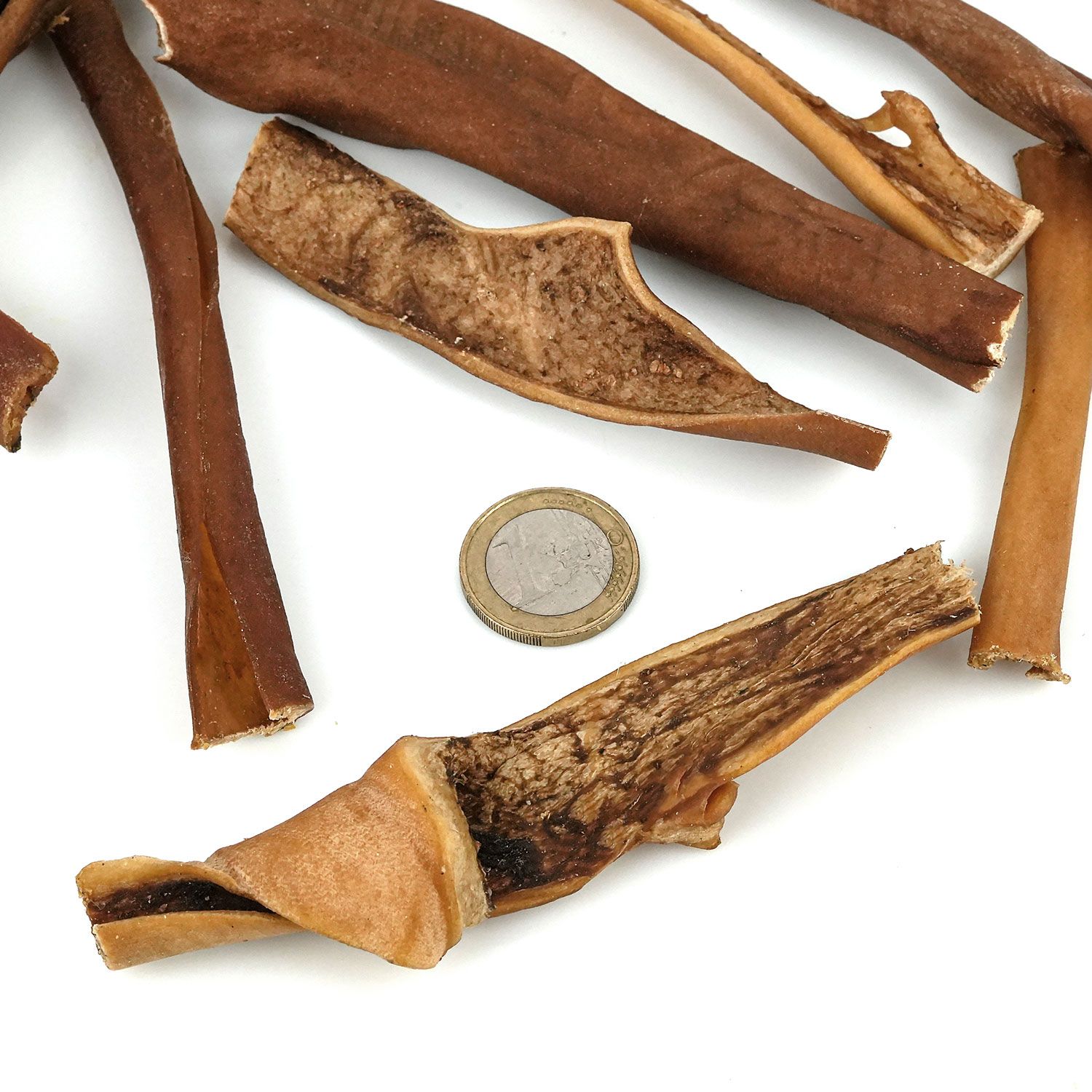 Nahaufnahme von getrockneten Kauplatten. Verschiedene Formen und Größen. Eine Euro-Münze als Größenvergleich.
