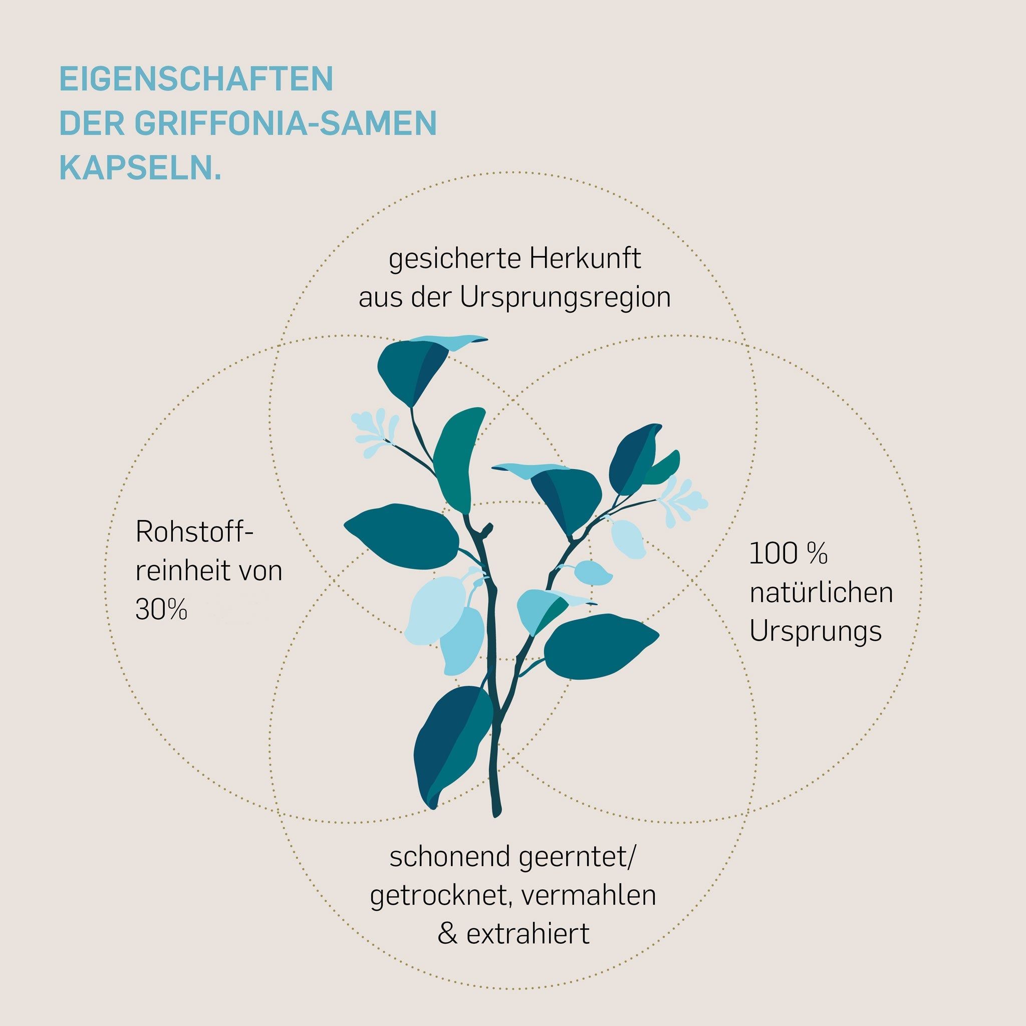 Kurkraft© 5-HTP aus Griffonia