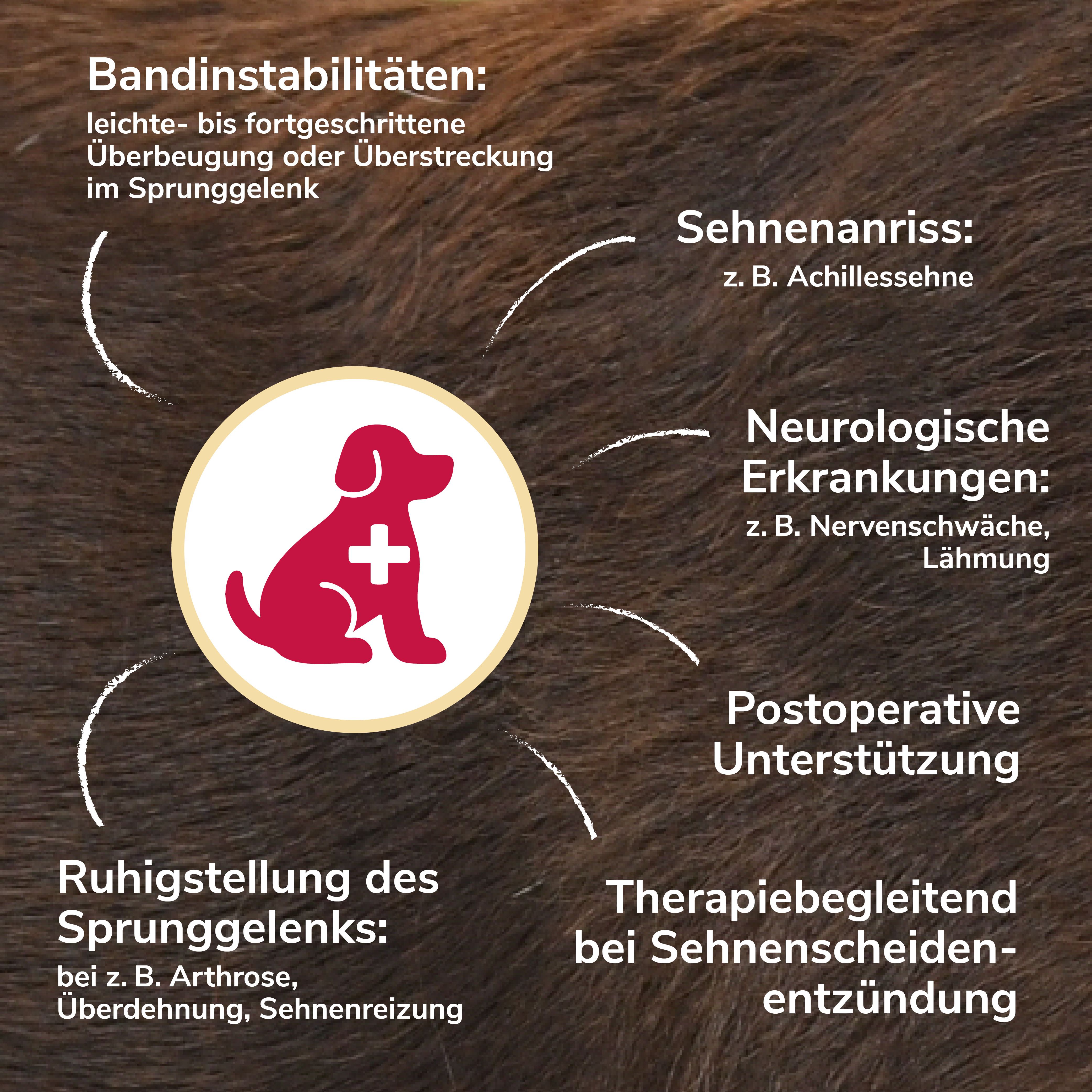 Kreisförmige Grafik mit medizinischen Indikationen für die Sprunggelenkbandage. Text: Ruhigstellung, Sehnenanriss, etc.
