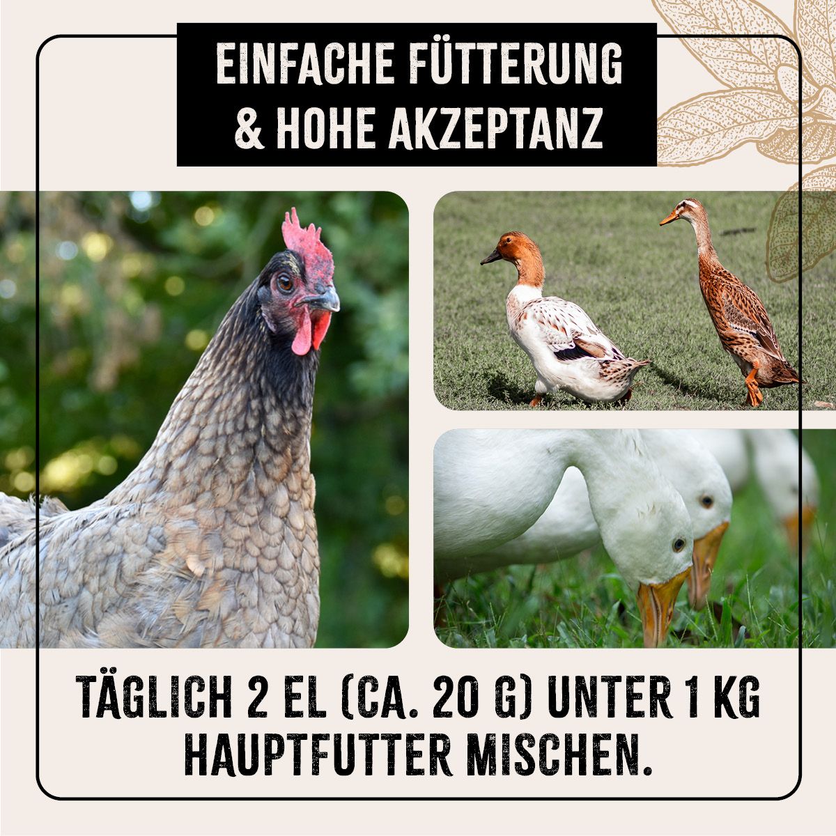 AniForte FarmLife Geflügel Wohlfühlkräuter