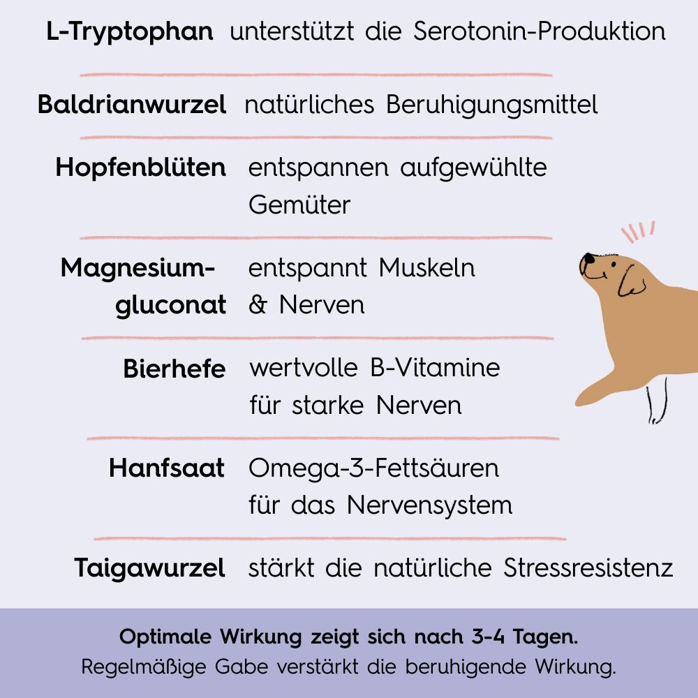 Inhaltsstoffe und ihre Wirkung. L-Tryptophan, Baldrianwurzel, Hopfenblüten, Magnesiumgluconat, Bierhefe, Hanfsaat, Taigawurzel.