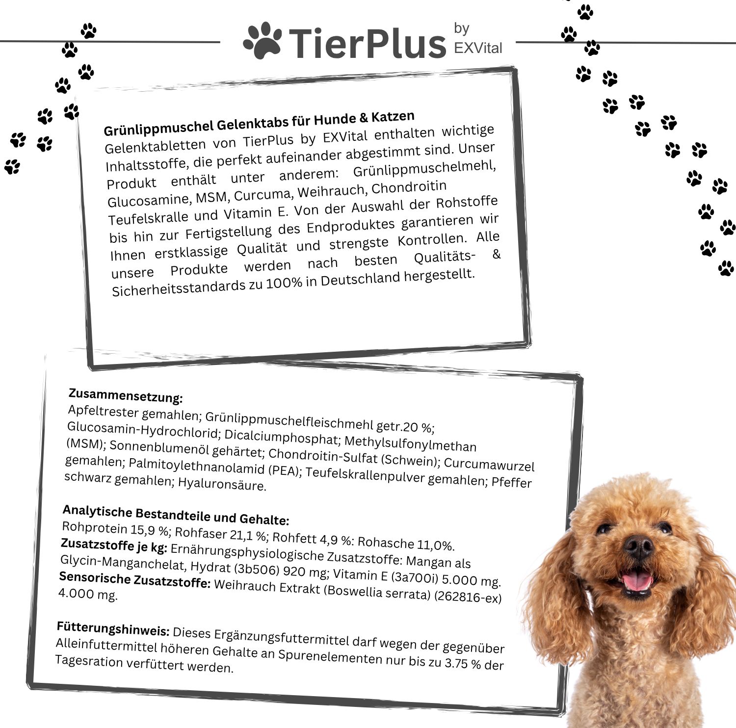 TierPlus Grünlippmuschel Gelenktabletten für Hunde & Katzen: Text über Inhaltsstoffe wie Grünlippmuschel, MSM, Curcuma, Teufelskralle, Vitamin E. Made in Germany.