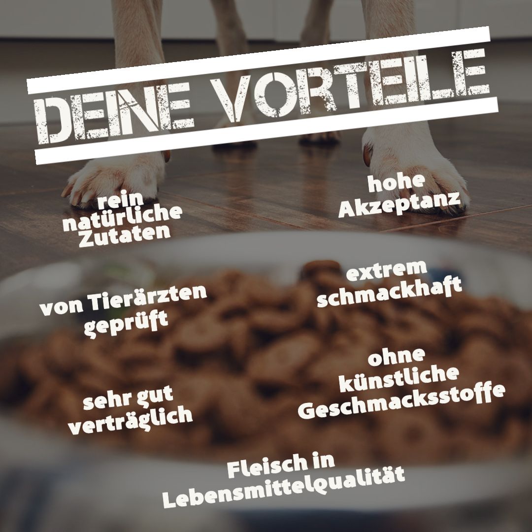 Hundefüße über einer Schüssel mit Futter. Text: DEINE VORTEILE, rein natürliche Zutaten, hohe Akzeptanz, extrem schmackhaft.