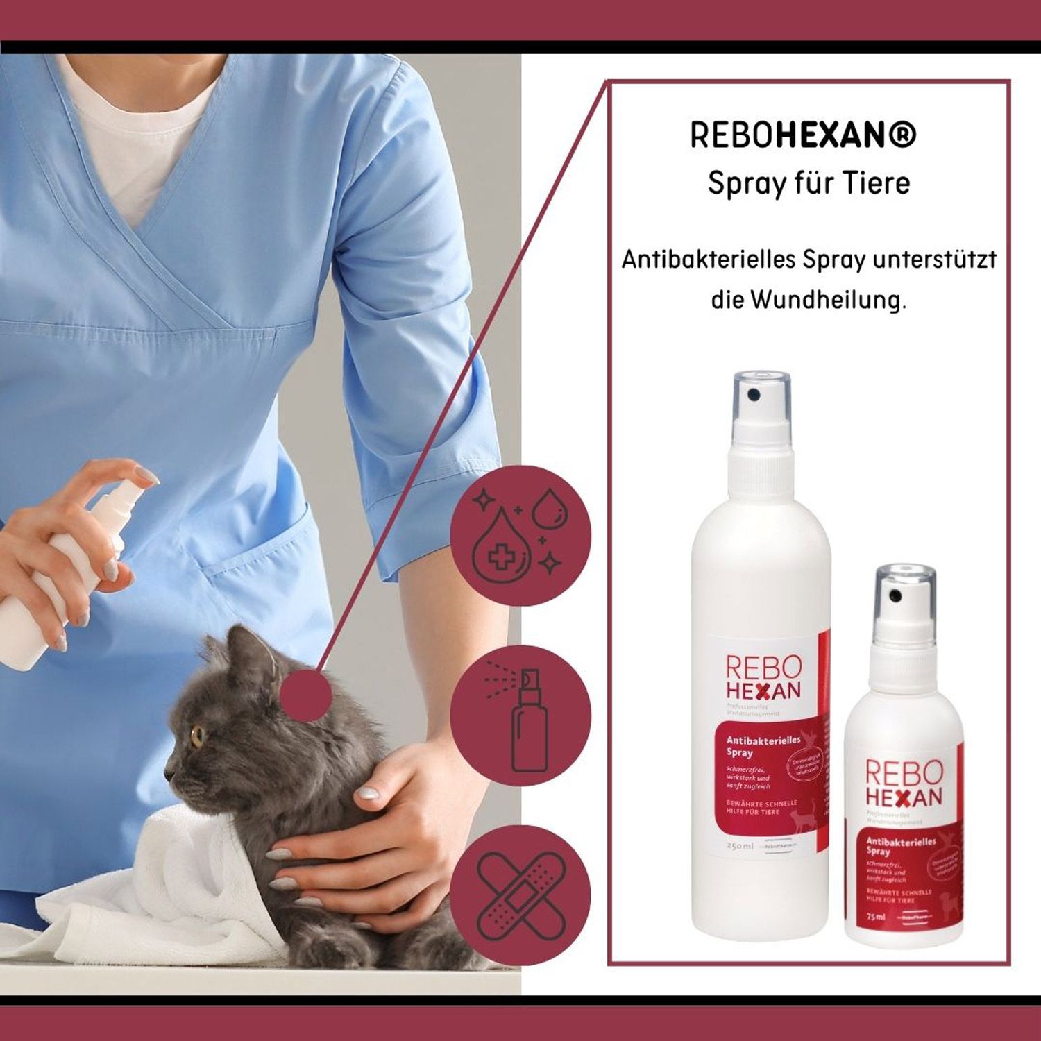 reboVet ReboHexan Spray