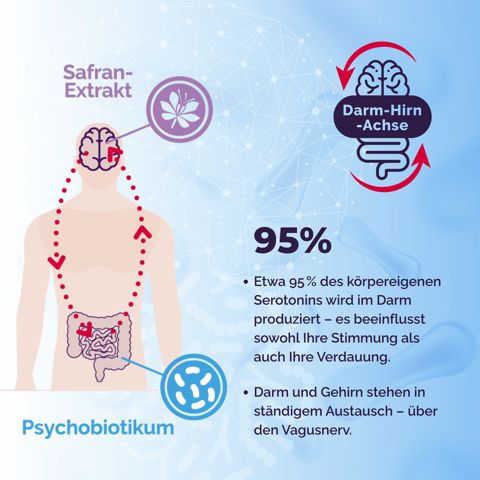 Almadea - BrainBiome