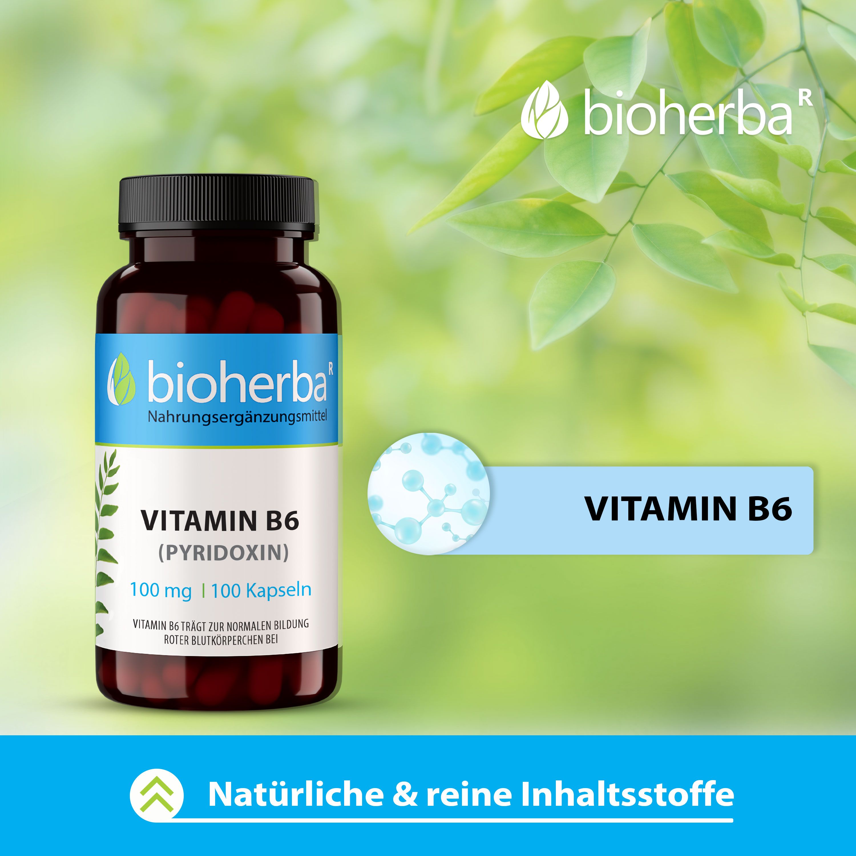 Braune Flasche mit schwarzen Deckel. Etikett mit Vitamin B6 (Pyridoxin) Kapseln. Blaue Grafik mit Molekülen.