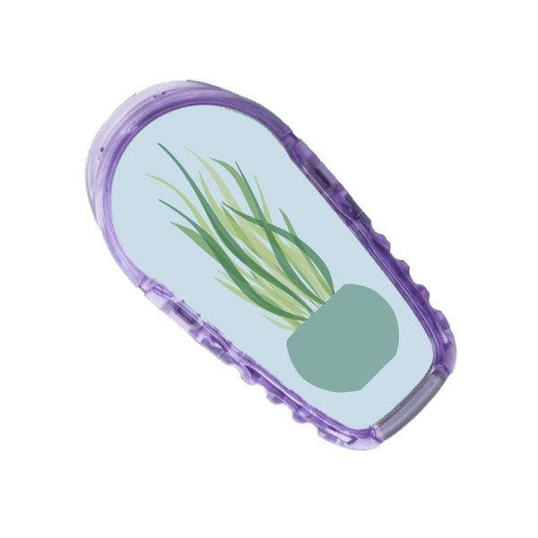Diasticker® Dexcom G6 Stickerset "Pflanzenliebe"