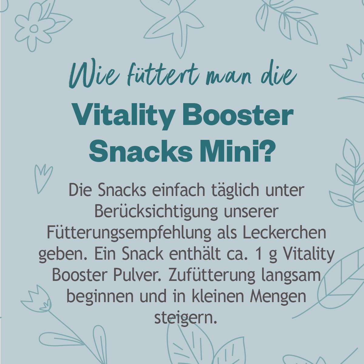 Text: Wie füttert man die Vitality Booster Snacks Mini? Anleitung zur Fütterung. Ein Snack enthält ca. 1 g Vitality Booster Pulver.