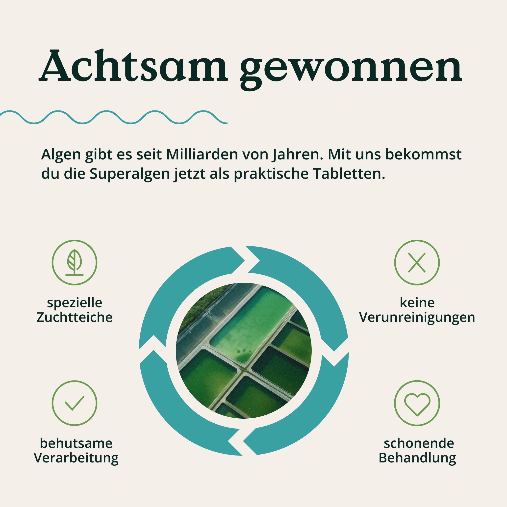Kreislaufdiagramm zur schonenden Gewinnung von Algen.