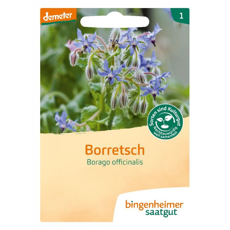 Bingenheimer Saatgut - Borretsch