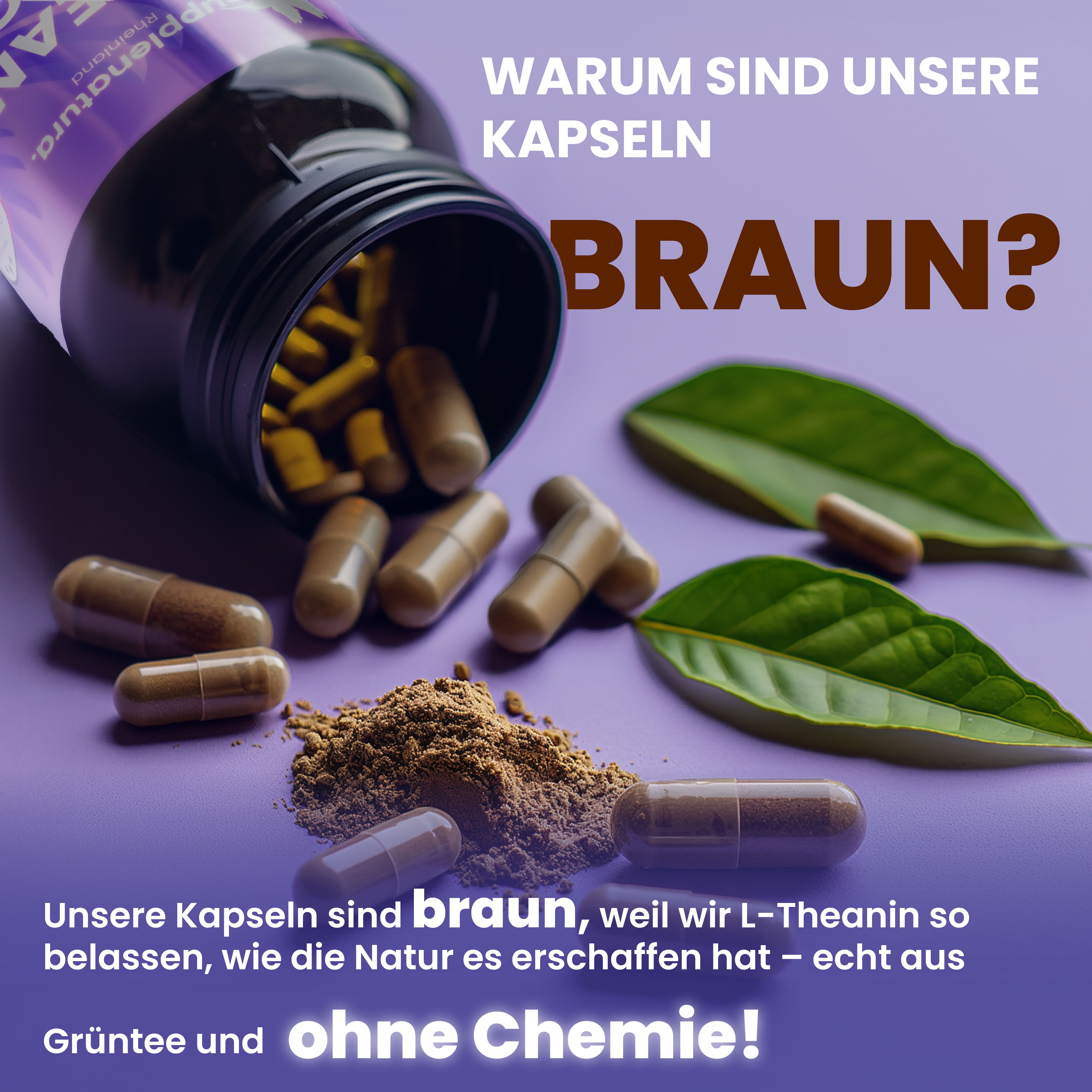 supplenatura Rheinland® - L-Theanin - Natürlicher Extrakt