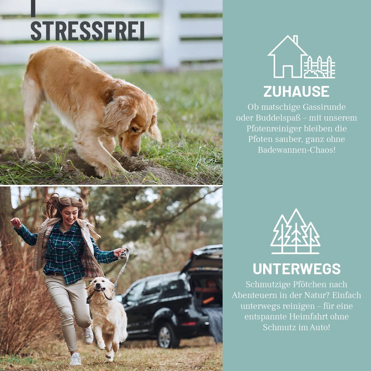 Hund spielt im Gras und läuft mit Frau. Text: Zuhause, unterwegs. Illustrationen: Haus, Bäume.