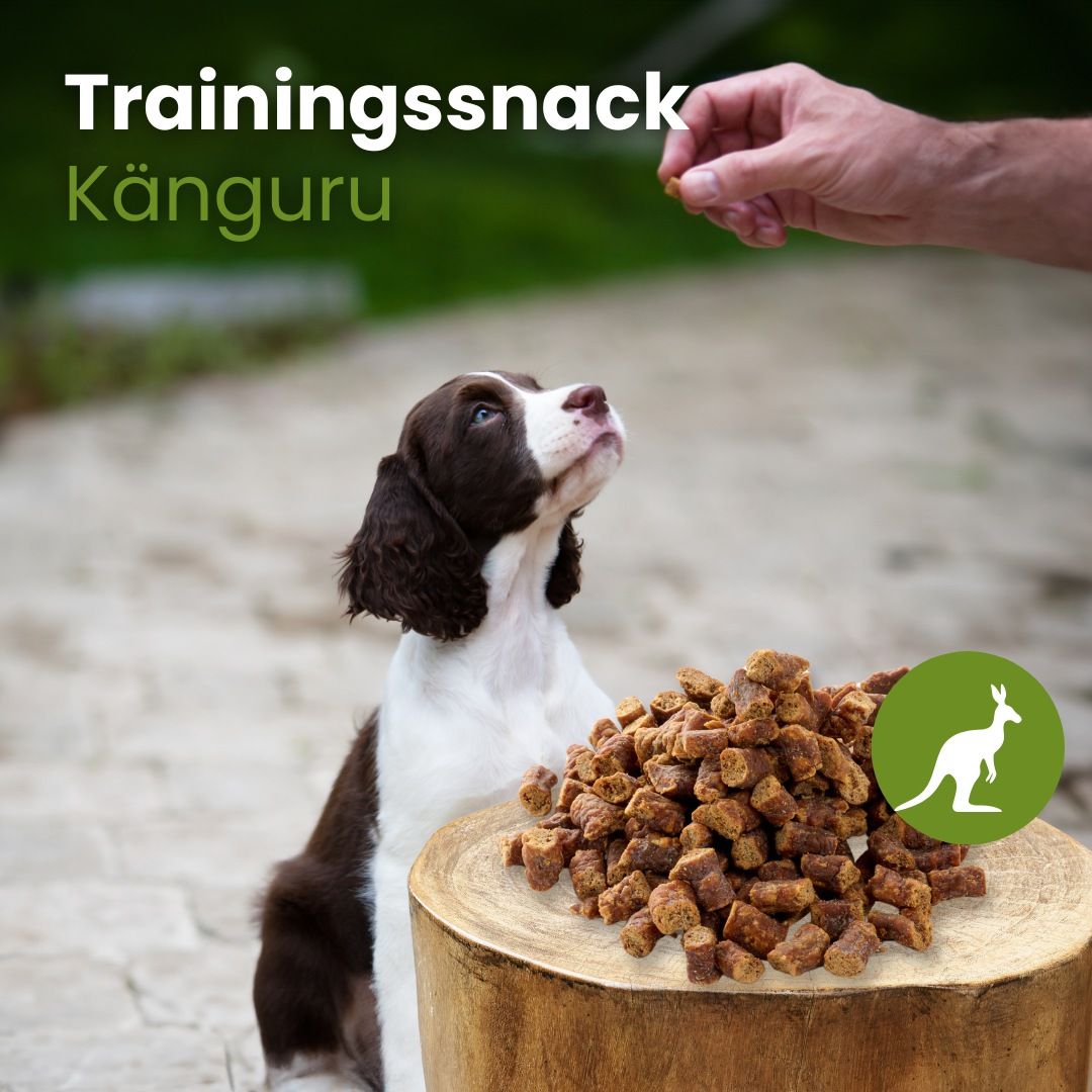 Hundeleckerli aus Känguru, kleine Würfel auf einem Holzstamm.
