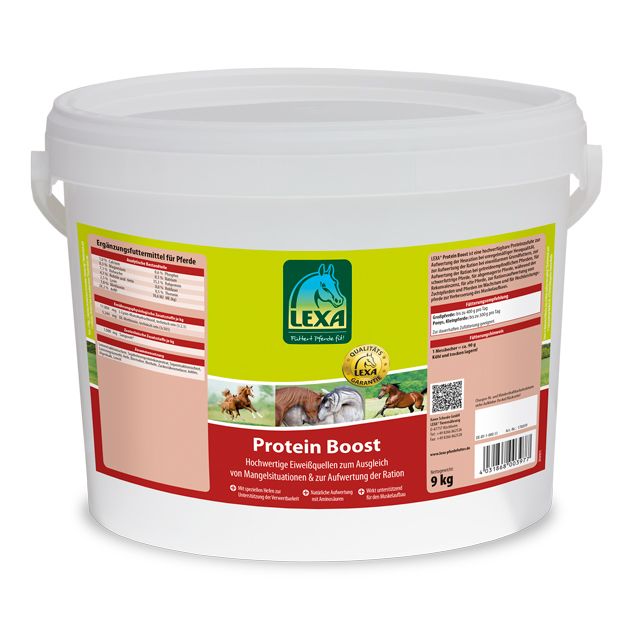 Weißer Eimer mit LEXA-Logo und Produktbezeichnung Protein Boost. Enthält 9 kg. Aufdrucke mit Informationen und Abbildungen von Pferden.