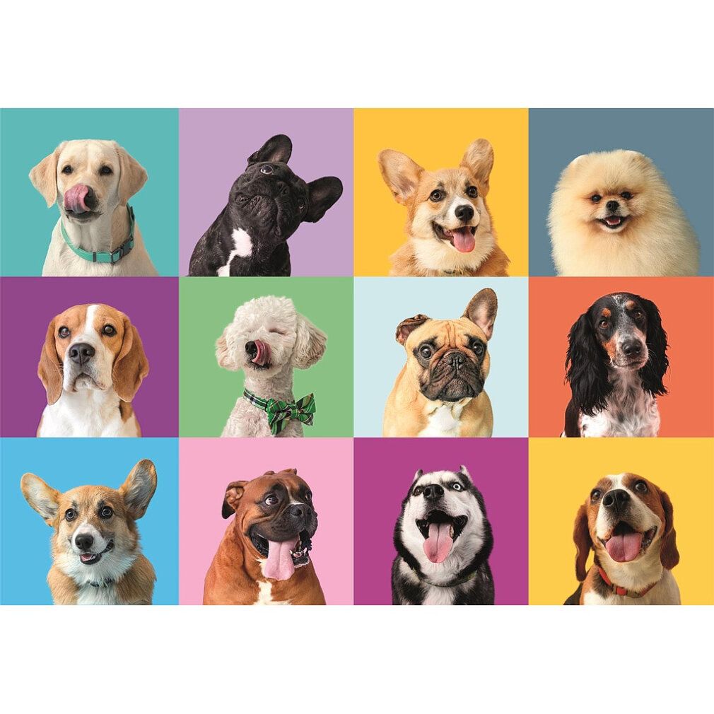 Tiere Funny Faces Clementoni 300-teiliges Puzzle